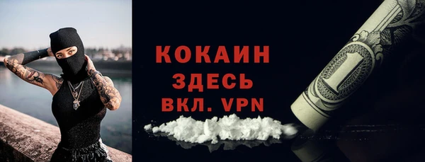 мдпв Карпинск