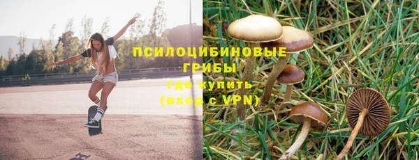 не бодяженный Каменск-Шахтинский