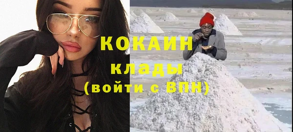 гашик Касимов